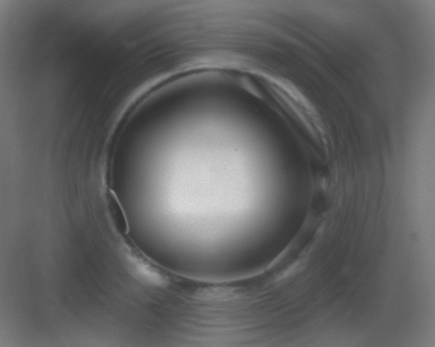 X0000083530846200702091004