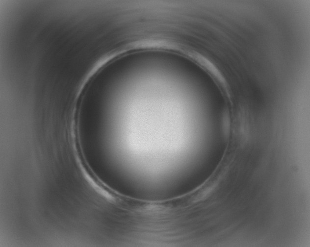X0000083530847200702091004