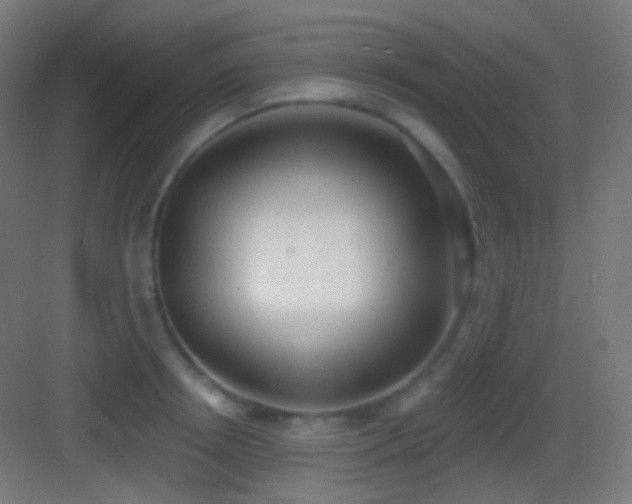 X0000083530850200702091004