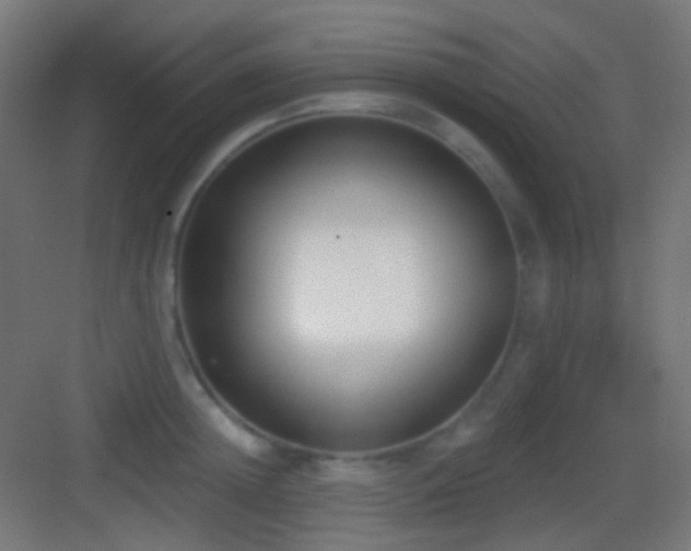 X0000083530852200702091004