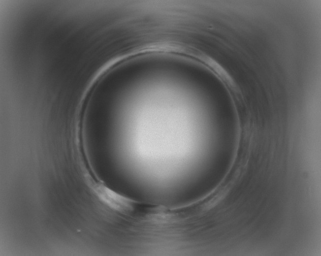 X0000083530854200702091004