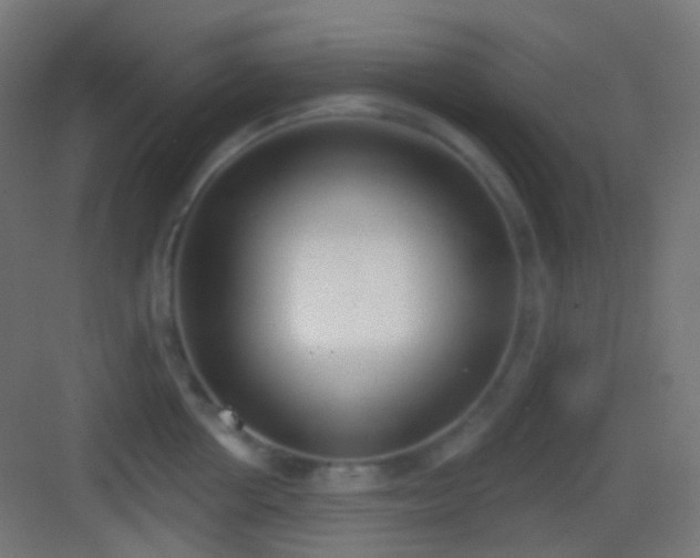 X0000083530858200702091004