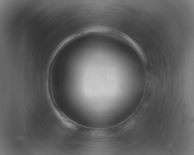 X0000083530861200702091004
