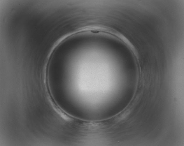 X0000083530862200702091004