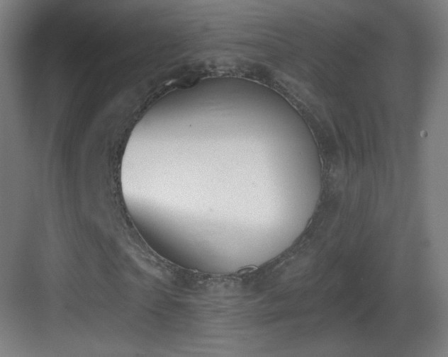 X0000083530865200702091004