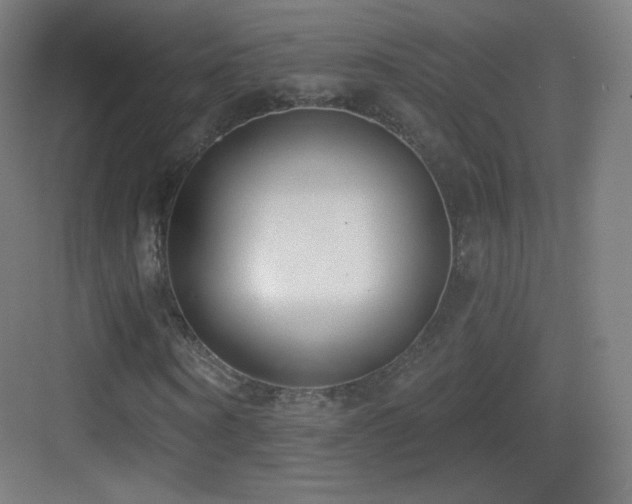 X0000083530866200702091004