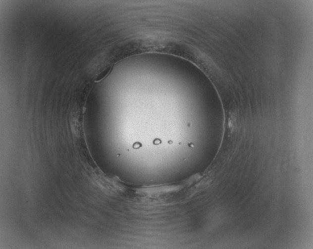 X0000083530867200702091004