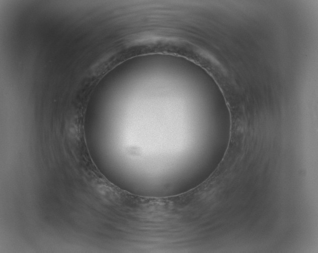 X0000083530869200702091004