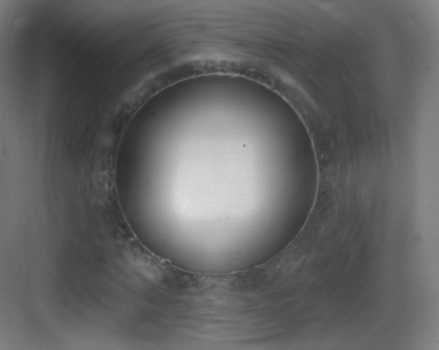 X0000083530870200702091004