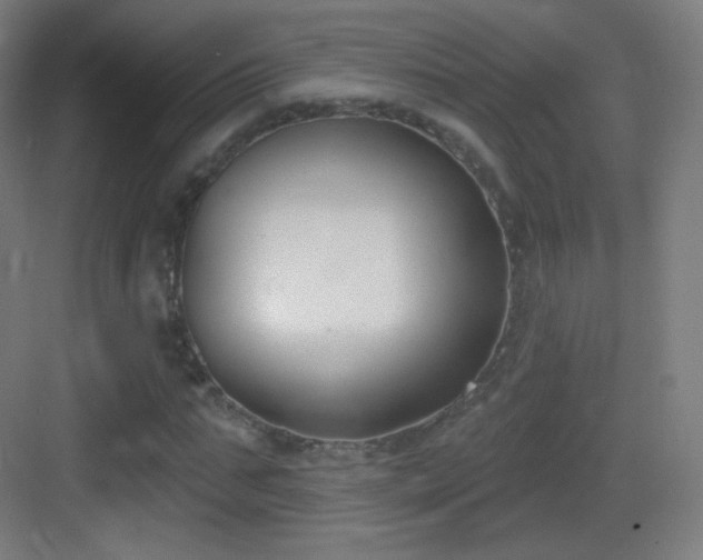 X0000083530871200702091004