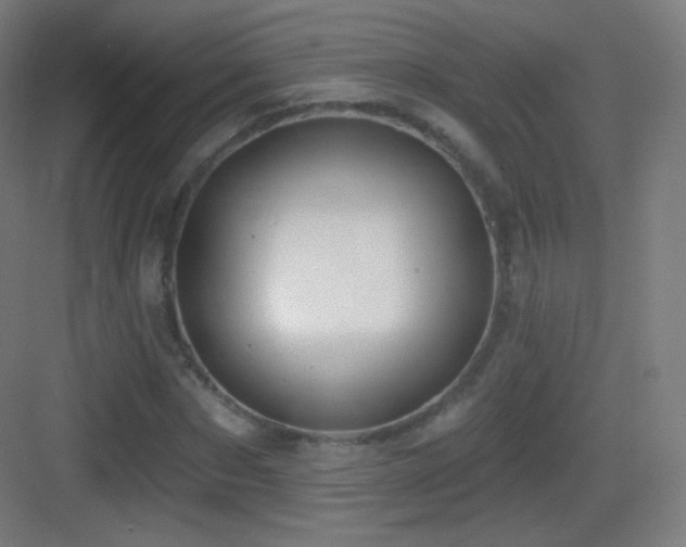 X0000083530873200702091004
