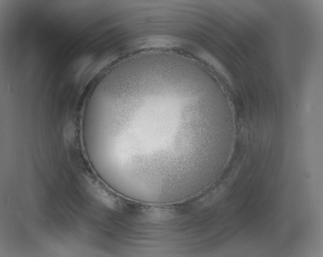 X0000083530874200702091004
