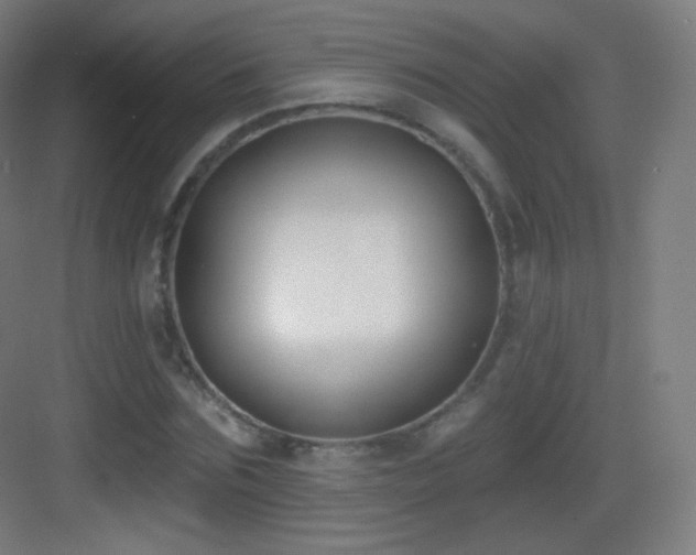 X0000083530875200702091004