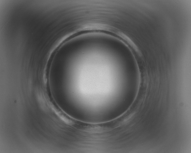 X0000083530885200702091003