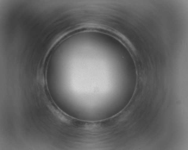 X0000083530887200702091003