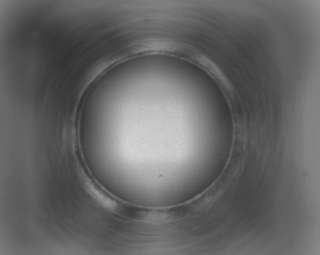 X0000083530890200702091003