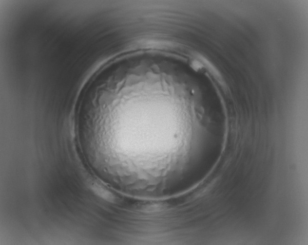 X0000083530891200702091003