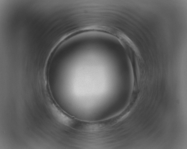 X0000083530892200702091003