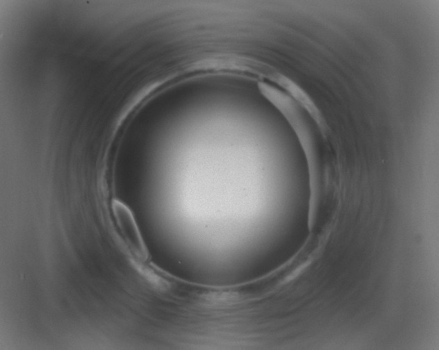 X0000083530893200702091003