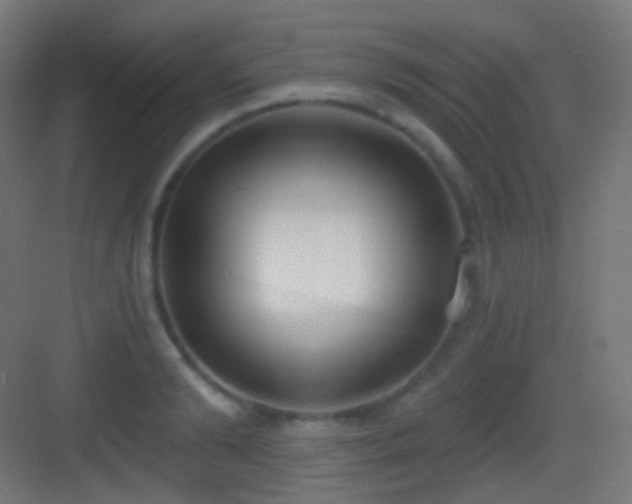 X0000083530894200702091003