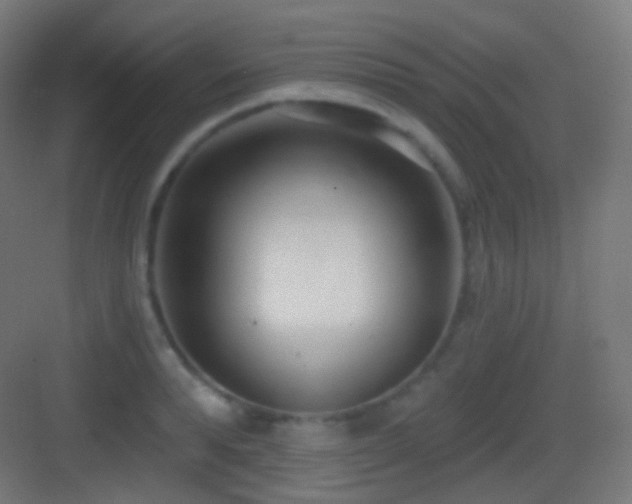X0000083530896200702091003