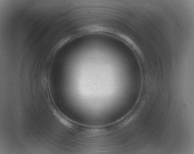 X0000083530897200702091003