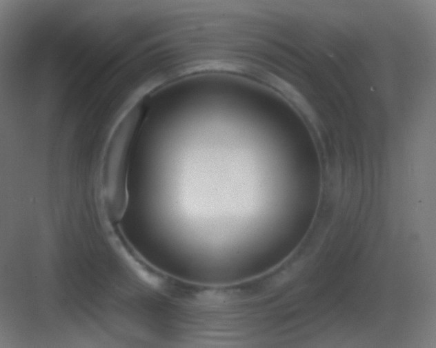 X0000083530898200702091003