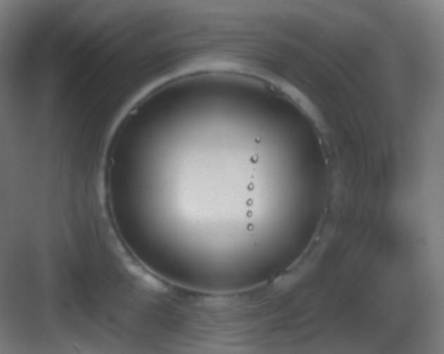 X0000083530904200702091003