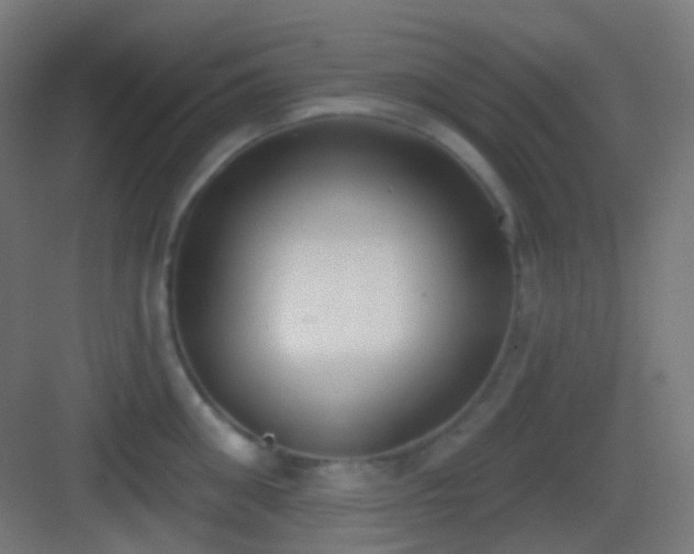 X0000083530906200702091003