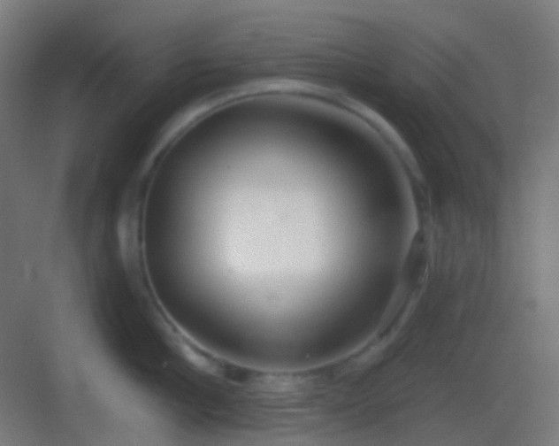 X0000083530910200702091003