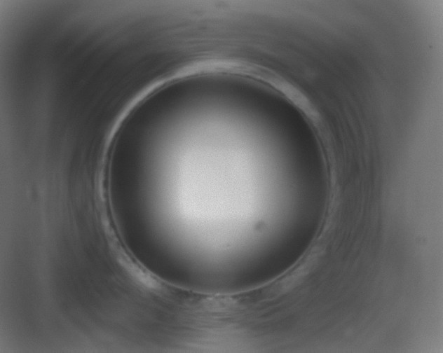 X0000083530912200702091003