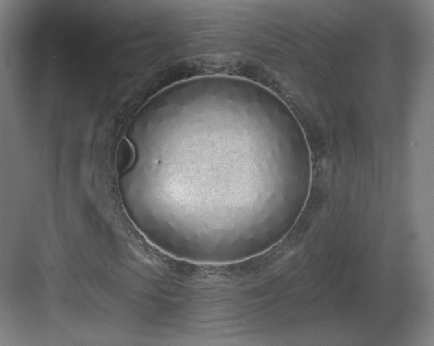 X0000083530913200702091002