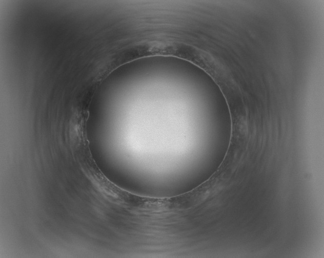 X0000083530914200702091002
