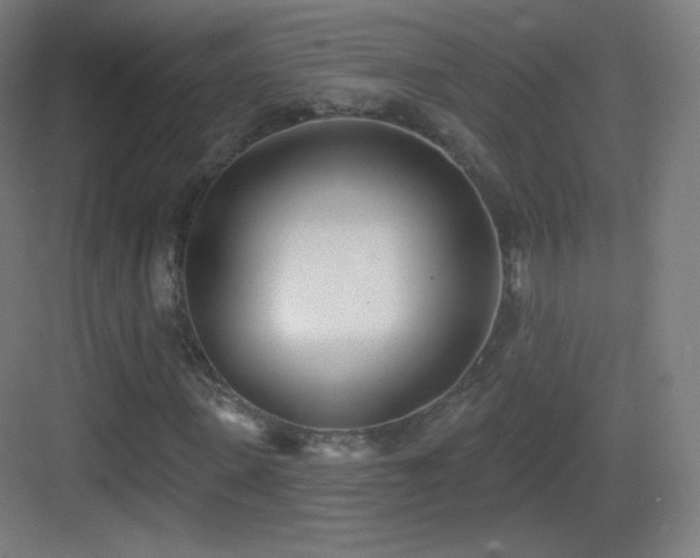 X0000083530915200702091002
