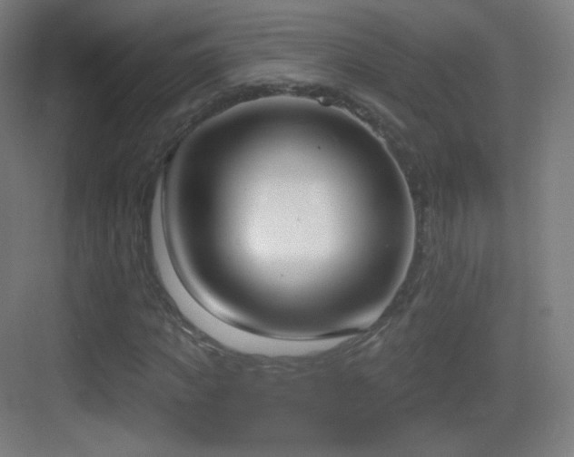 X0000083530917200702091002