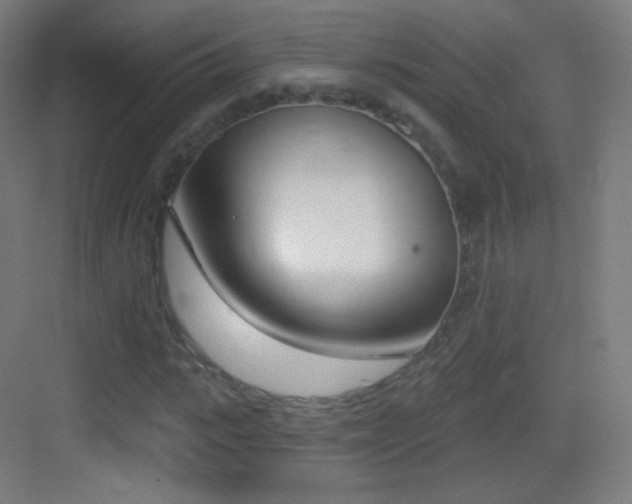 X0000083530919200702091002