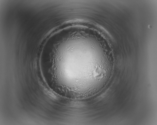 X0000083530921200702091002