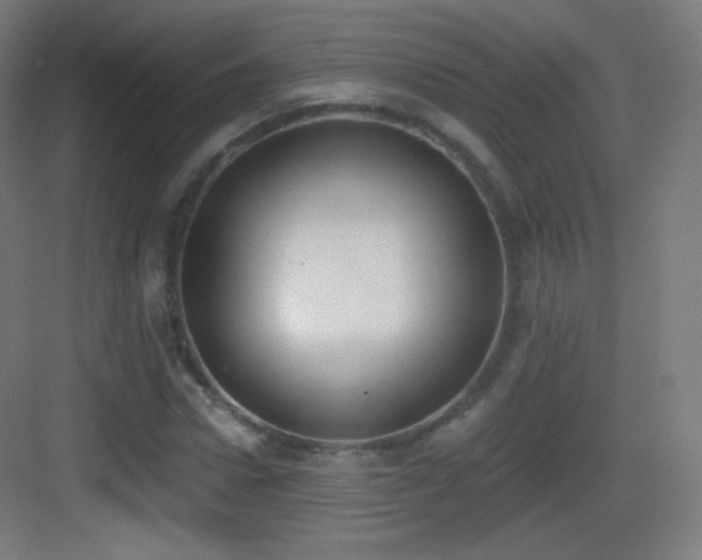 X0000083530922200702091002