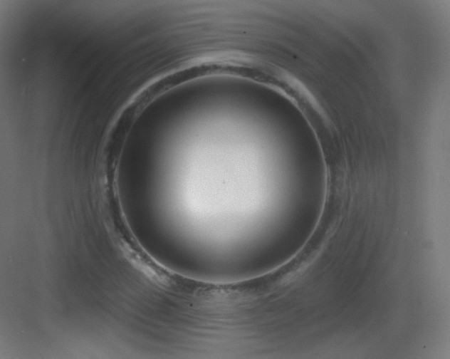 X0000083530923200702091002