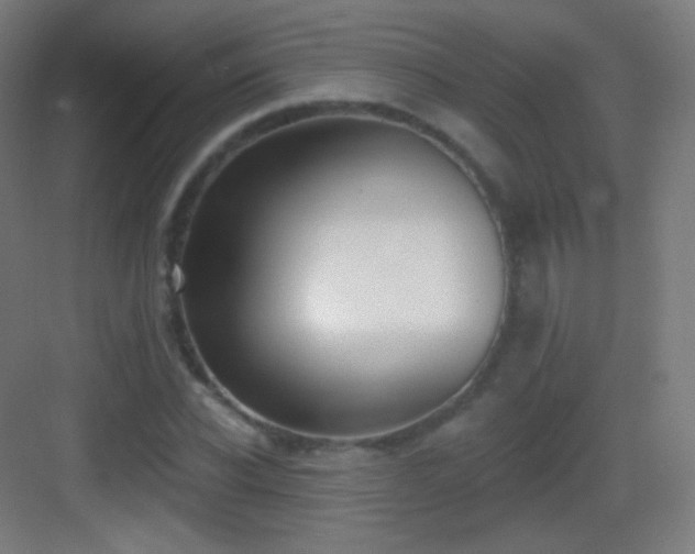 X0000083530926200702091002