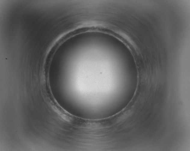 X0000083530927200702091002