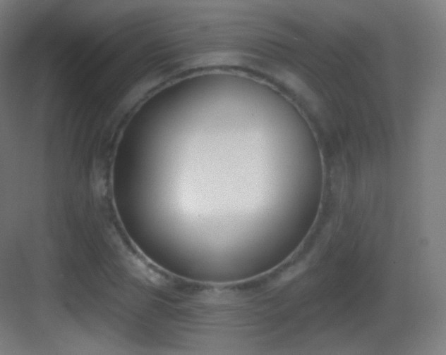X0000083530929200702091002