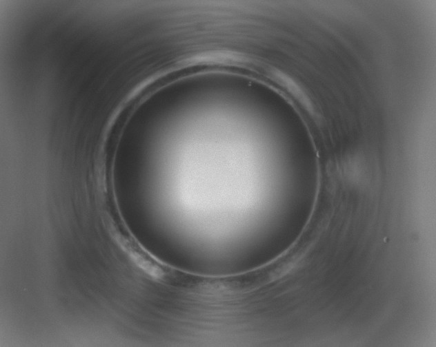 X0000083530931200702091002