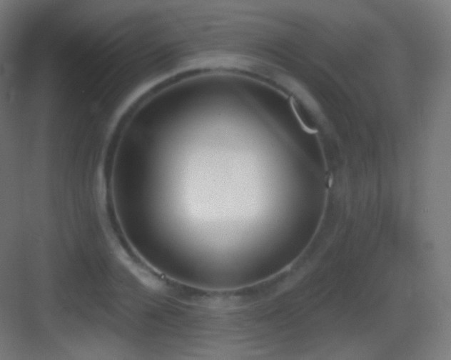 X0000083530936200702091002