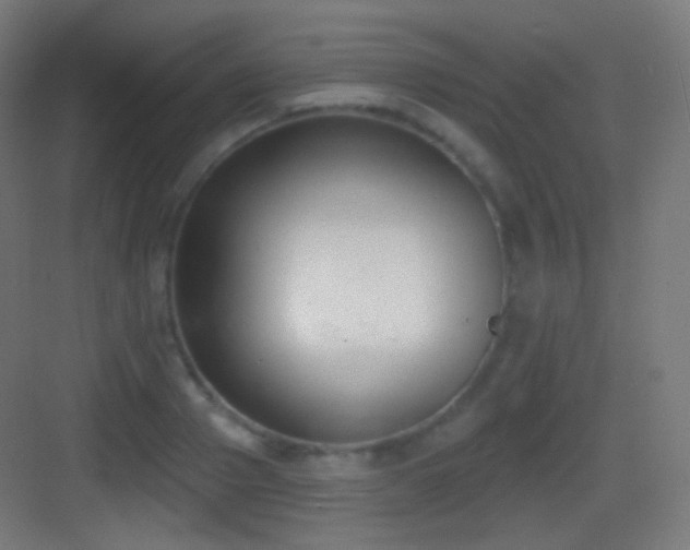 X0000083530937200702091003