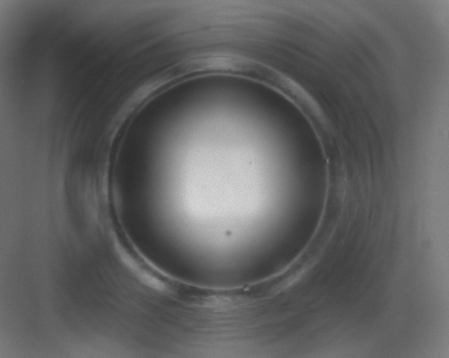 X0000083530938200702091003