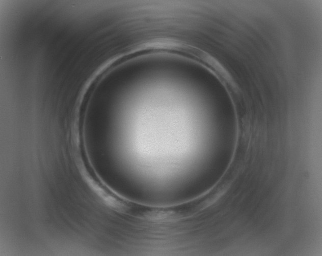 X0000083530939200702091003