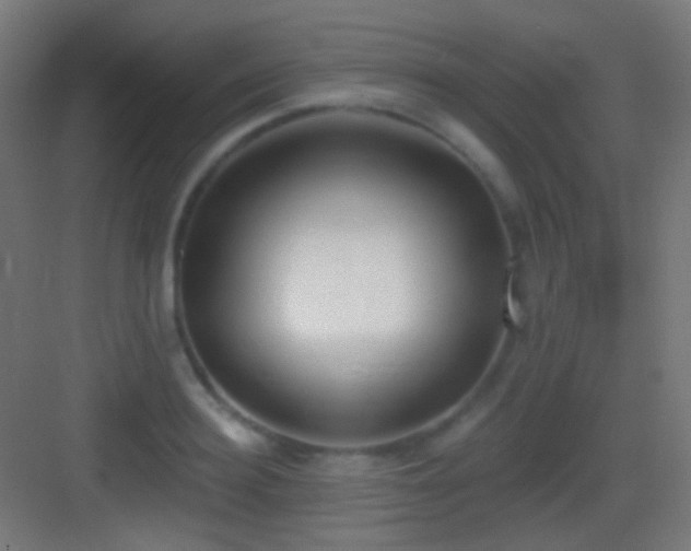 X0000083530940200702091003