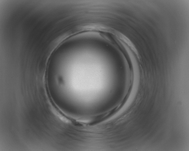X0000083530946200702091003
