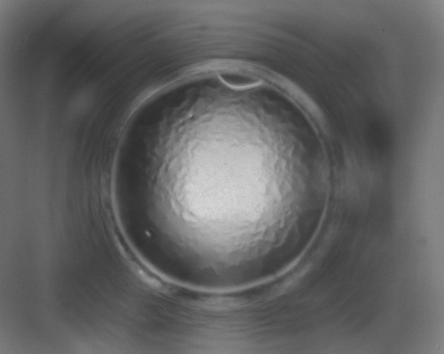 X0000083530953200702091003